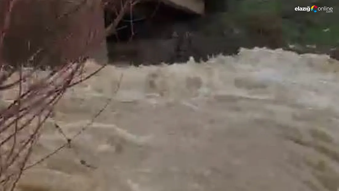 Arıcak’ta Kambertepe Çayı coştu: Vatandaşlar cep telefonlarına sarıldı