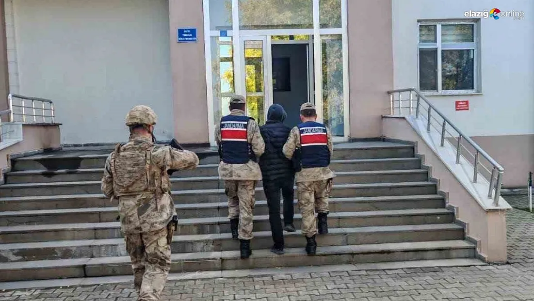 Bingöl'de kesinleşmiş hapis cezasıyla aranan 2 şüpheli yakalandı