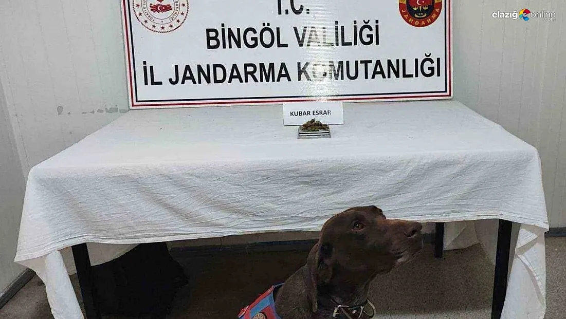 Bingöl'de uyuşturucu madde ve tüfek ele geçirildi