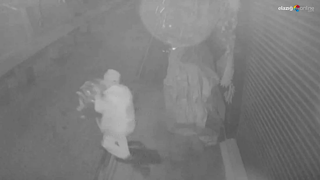 Poşet küçük gelince plan değişti!