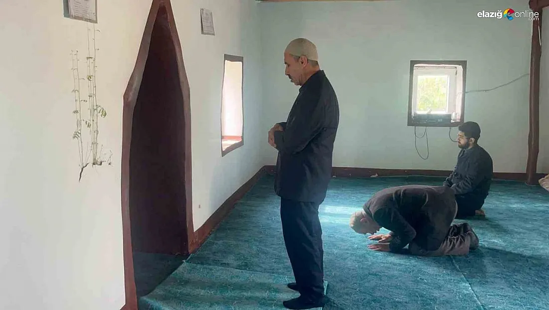 'Allah’ın hikmeti' diyerek kesmediler!