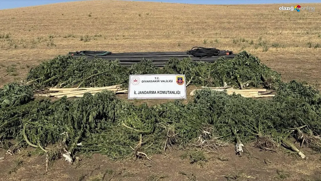 Diyarbakır'da uyuşturucuya geçit yok!