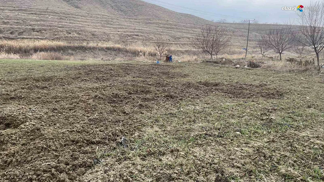 Baskil’de çiftçinin 'Domuz' kabusu: Bir gecede 10 dönüm ekili alan altüst oldu