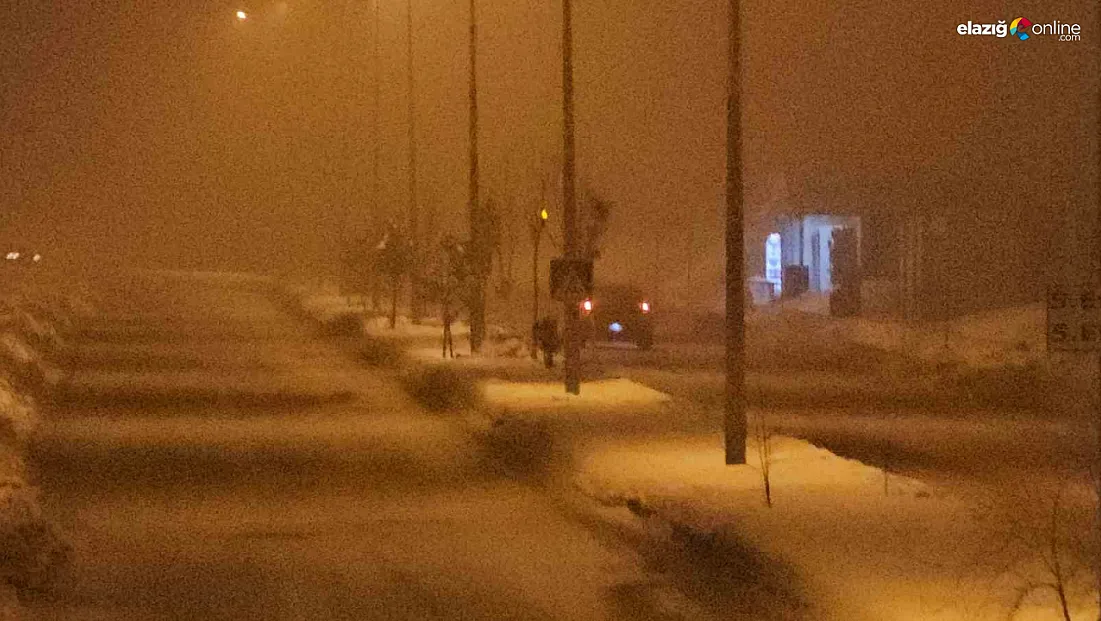 Elazığ'da gece saatlerinde sis etkili oldu