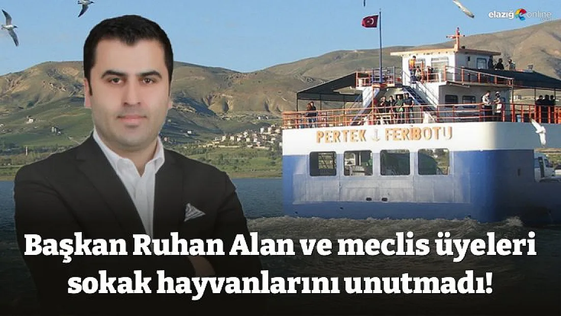 Başkan Ruhan Alan ve meclis üyeleri sokak hayvanlarını unutmadı!