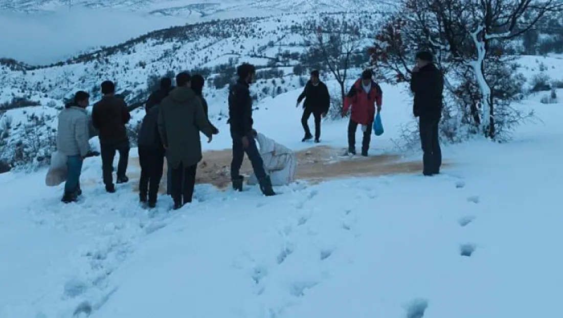 Elazığ Arıcak’ta yaban hayatına can suyu: Erbağ Köyü’nden alkışlanacak hareket