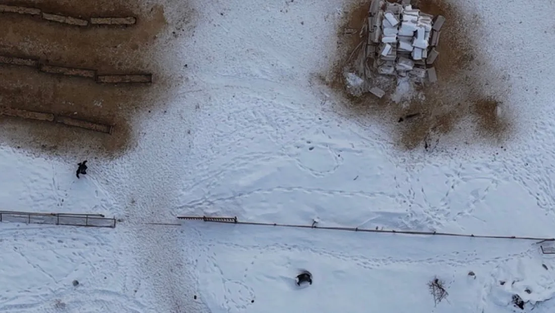 Güzel kare yakalamak istiyordu!