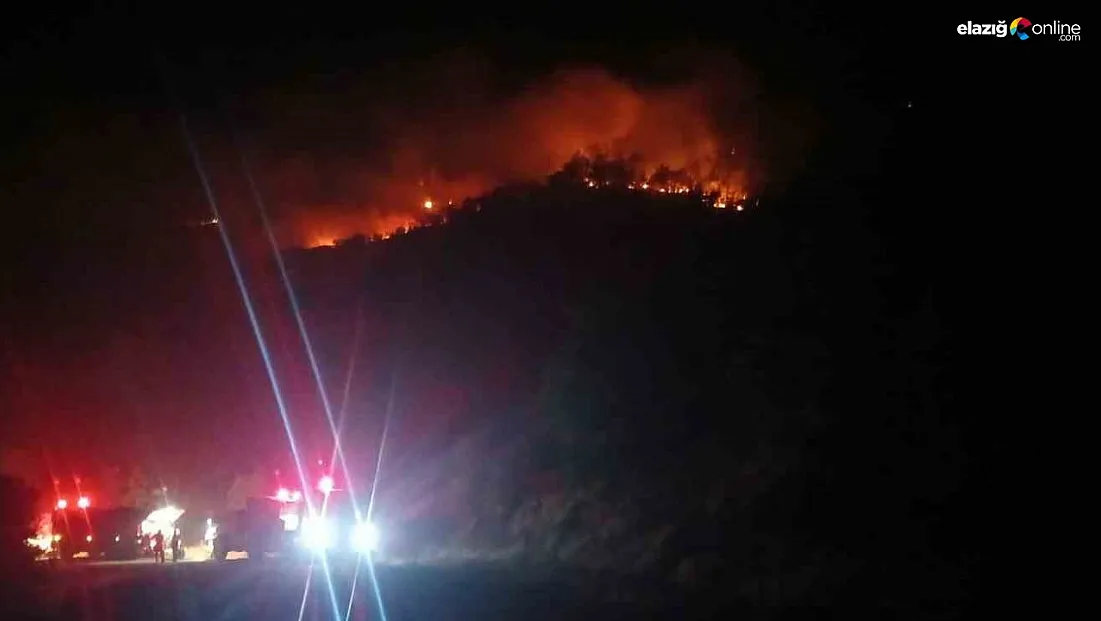 Malatya'daki orman yangını sürüyor