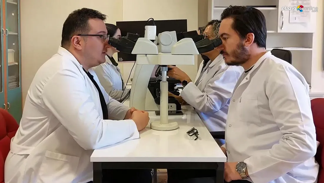 Patoloji hangi hastalıkları teşhis Eder? Sadece kanser mi? Uzmanı cevapladı