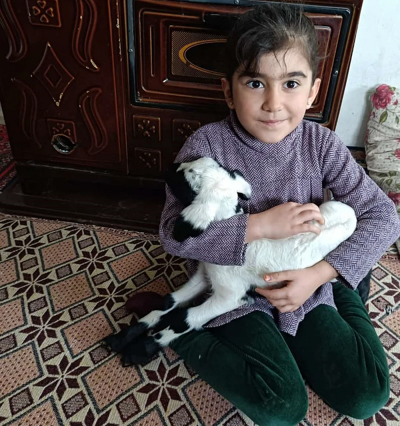 Elazığ'da Kuzular Sobanın Yanında Mesaiye Başladı