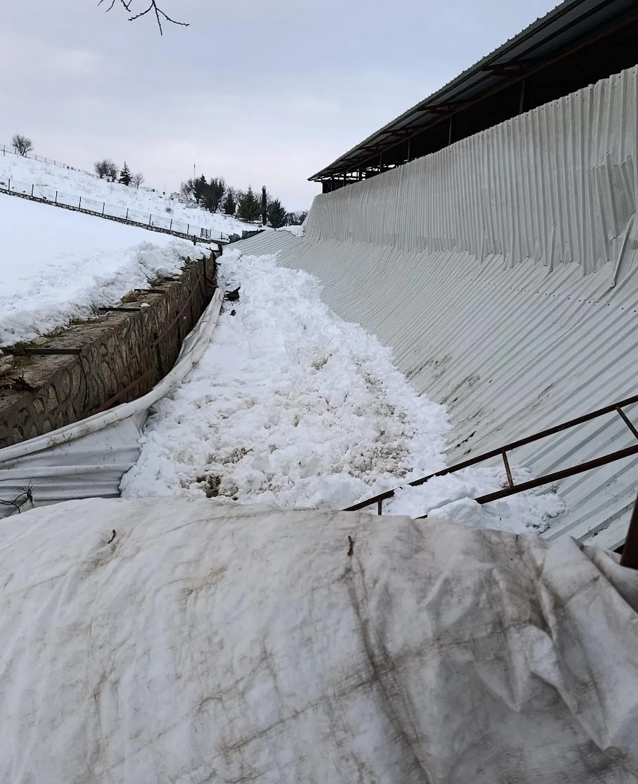 Elazığ'da ahırın tavanı çöktü