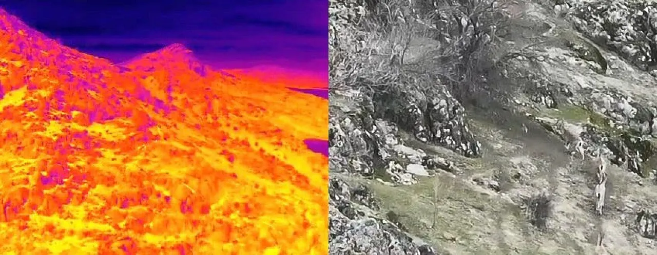 Doğa koruma ekibinden dağ keçilerine termal takip