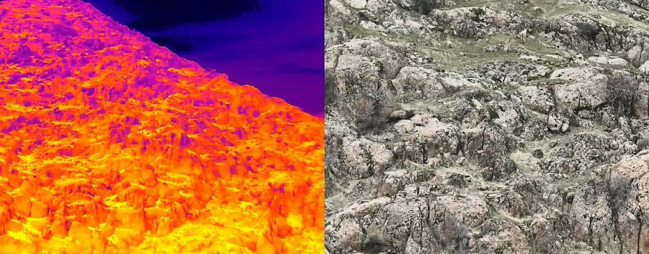 Doğa koruma ekibinden dağ keçilerine termal takip