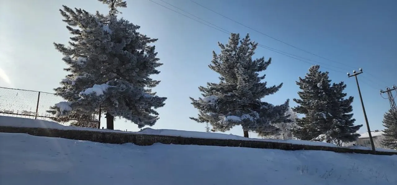 Karakoçan'da dondurucu gece: Kapı kilitleri bile buz tuttu