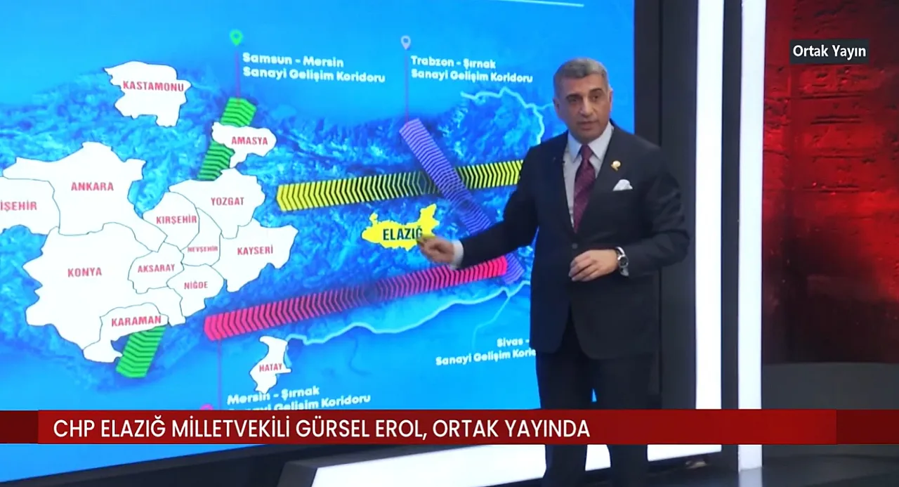 Gürsel Erol canlı yayında tabloyu çizdi: 'Elazığ iki büyük fırsatı kaçırdı!'
