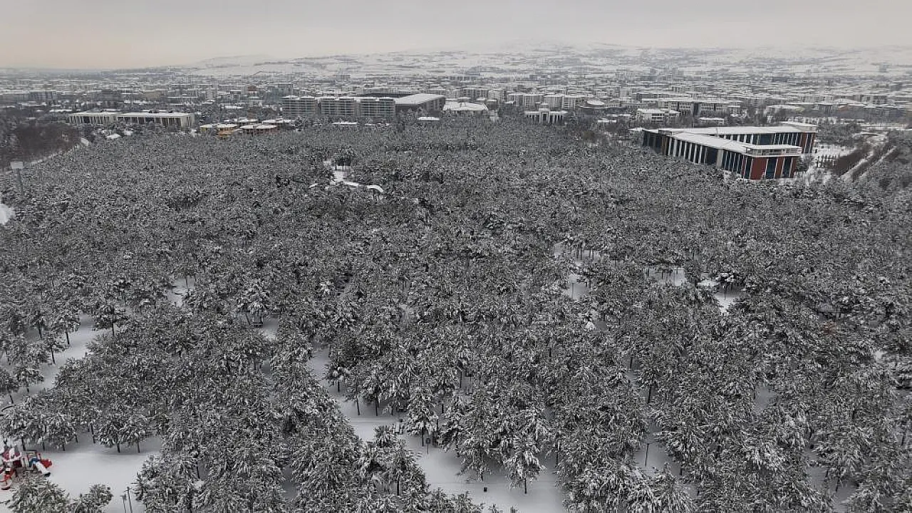 Binaların arasında saklı bir kış bahçesi: Beyaz esaret değil, beyaz zarafet!