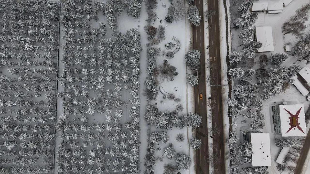 Binaların arasında saklı bir kış bahçesi: Beyaz esaret değil, beyaz zarafet!