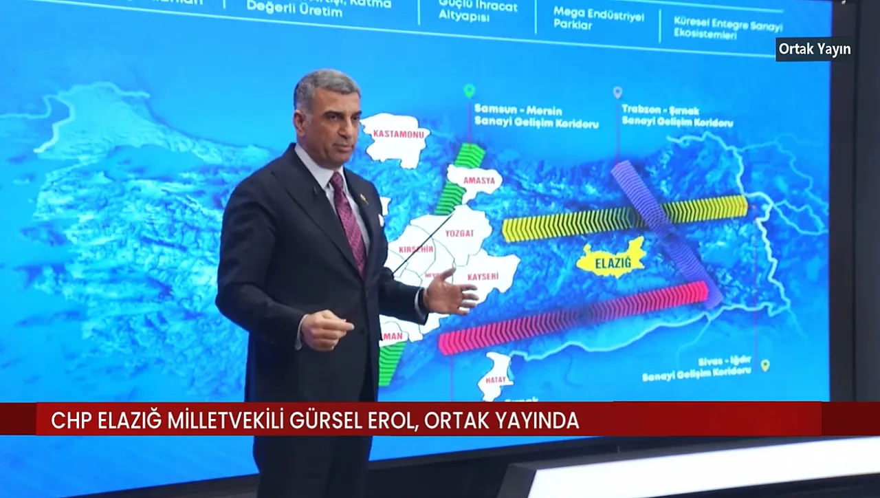 Gürsel Erol canlı yayında tabloyu çizdi: 'Elazığ iki büyük fırsatı kaçırdı!'