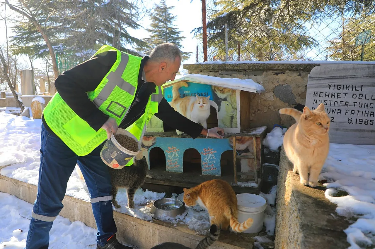 Elazığ'da doğaya yem bırakıldı
