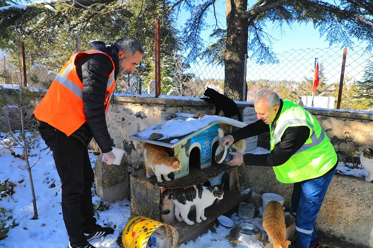 Elazığ'da doğaya yem bırakıldı