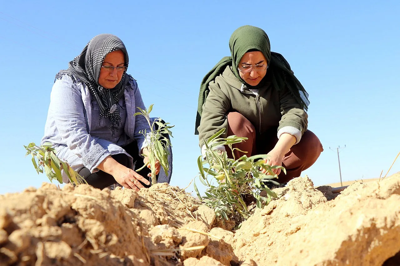 Tarım eğitimi verilen 200 ev kadını, bin dönüm atıl arazide üretime başladı
