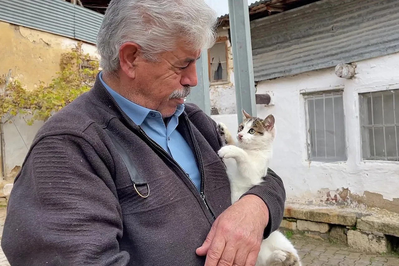 Kedilere torunları gibi bakan Muhtar Özdem yürekleri ısıttı!