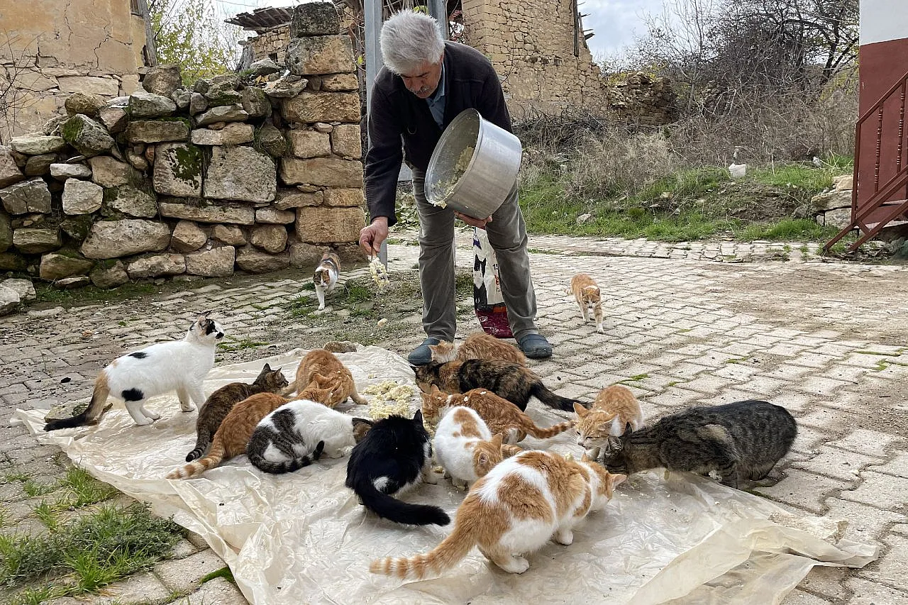 Kedilere torunları gibi bakan Muhtar Özdem yürekleri ısıttı!