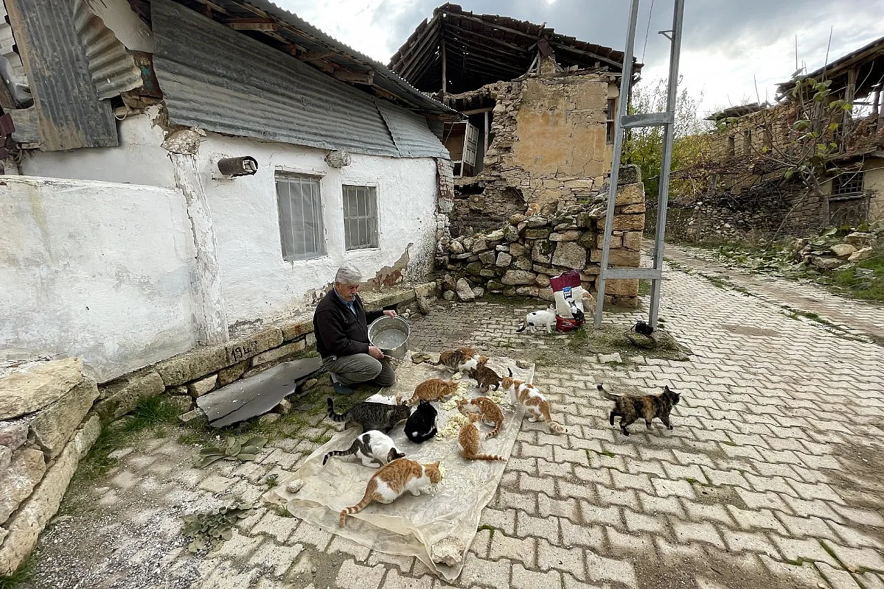 Kedilere torunları gibi bakan Muhtar Özdem yürekleri ısıttı!