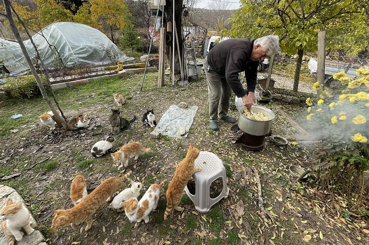 Kedilere torunları gibi bakan Muhtar Özdem yürekleri ısıttı!