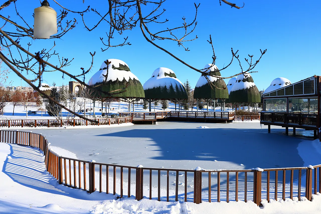 Kültür Park'ta Sibirya görüntüleri: Süs havuzları tamamen dondu