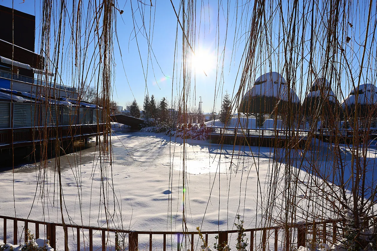 Kültür Park'ta Sibirya görüntüleri: Süs havuzları tamamen dondu
