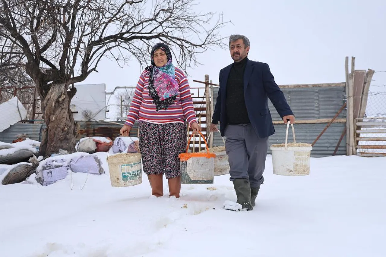 Hayvan beklemez, soğuk dinlemez: İşte Elazığlı besicinin şafak mesaisi