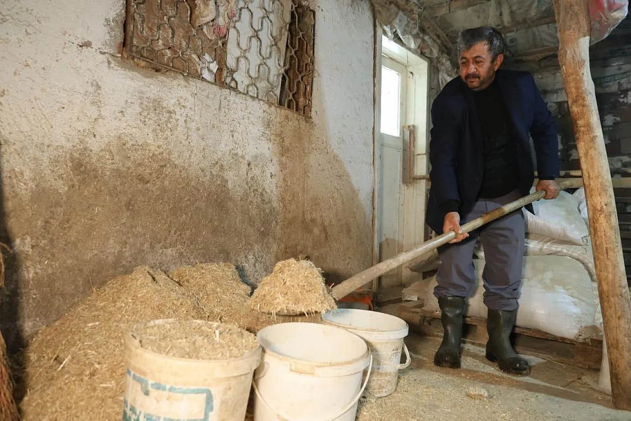 Hayvan beklemez, soğuk dinlemez: İşte Elazığlı besicinin şafak mesaisi