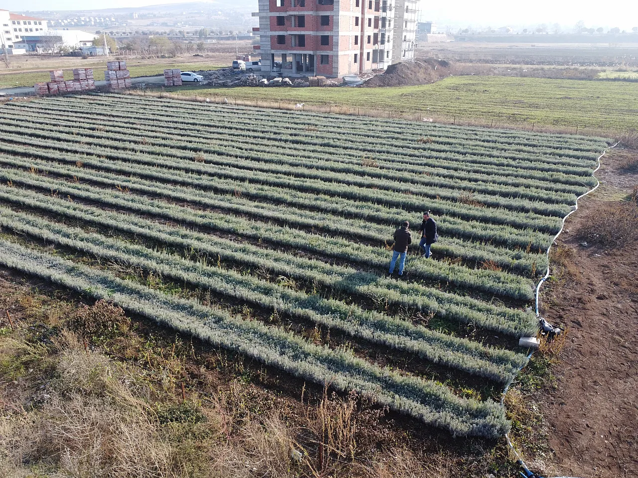 Hobi olarak başladı şimdi 7 ülkeye gönderiyor!