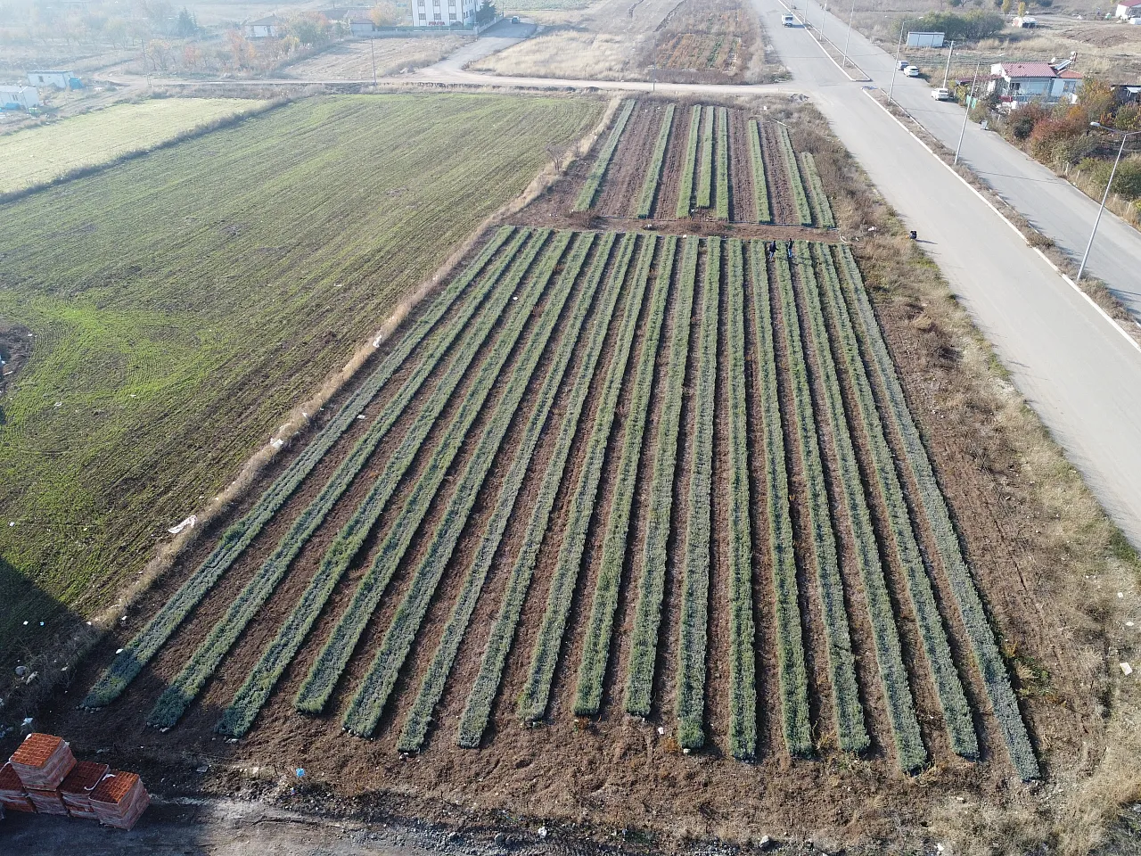 Hobi olarak başladı şimdi 7 ülkeye gönderiyor!