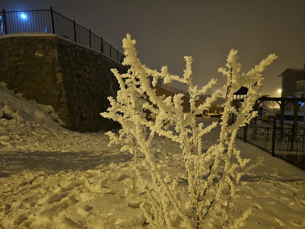 Elazığ'da ağaçlar kırağı tuttu
