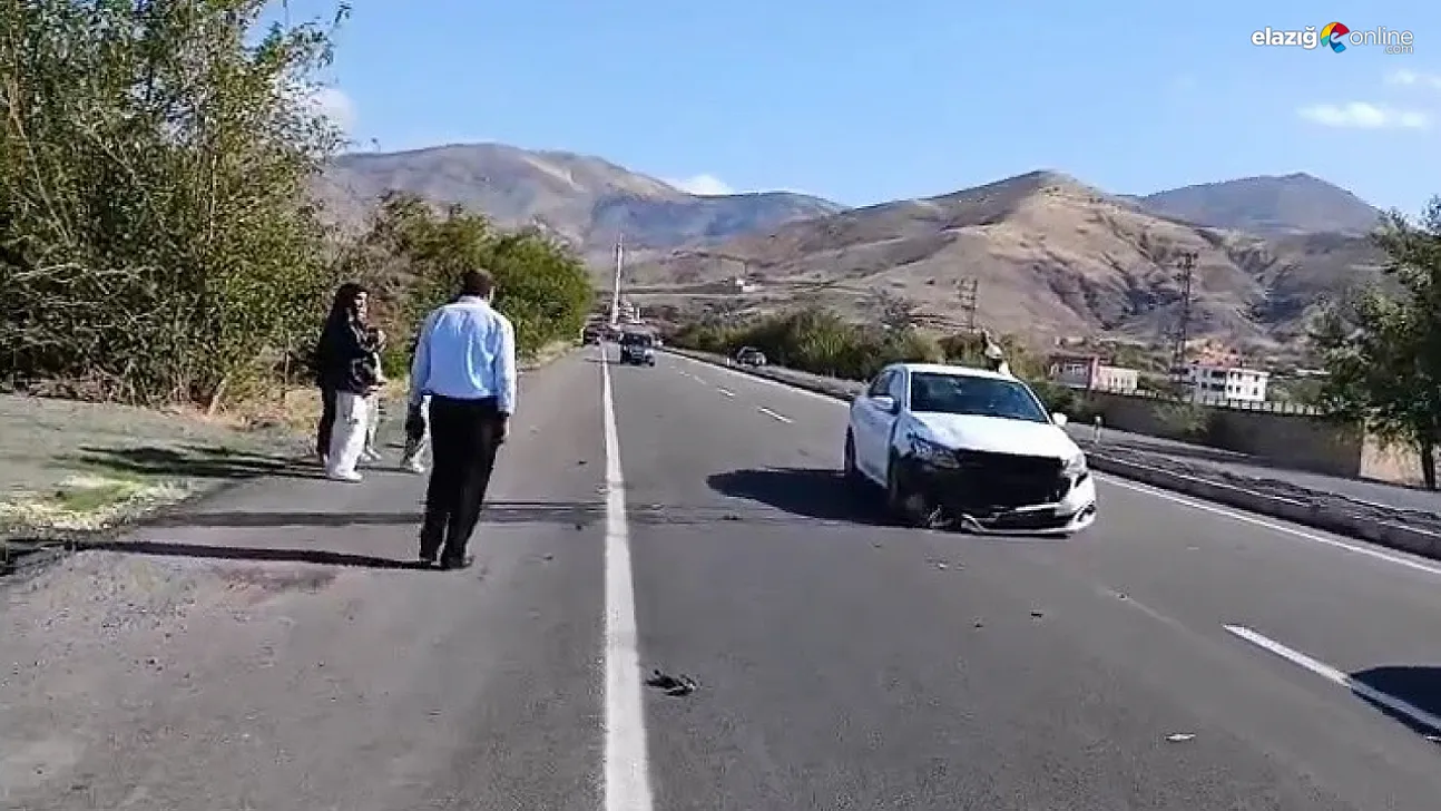 Otomobilin Çarptığı Köpek Telef Oldu, Yolcu Hafif Yaralandı