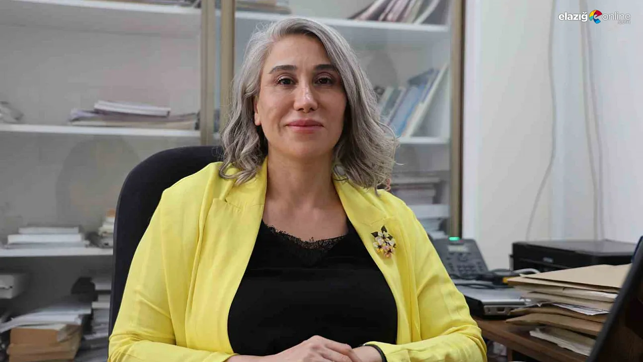 Türk Bilim İnsanlarından Yenilikçi Çalışma: Sodyum İyon Batarya Patenti Yolda!