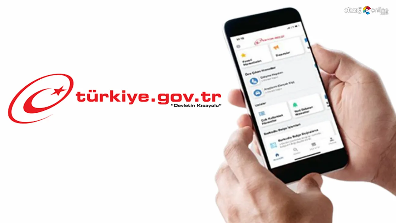 Türkiye'de Gıda Skandallarına Dijital Çözüm: Güncel Gıda Duyuruları Artık e-Devlet'te!