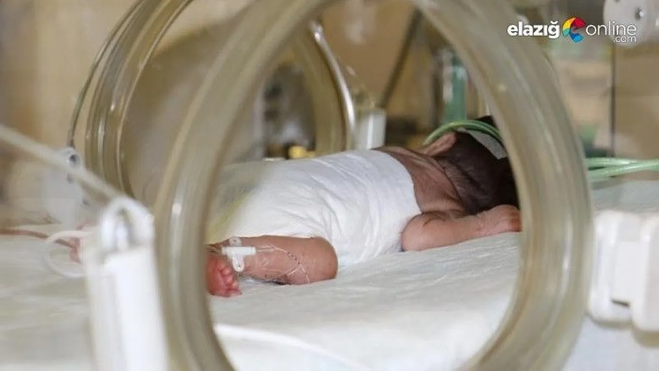 Prematüre bebeklere 'anne şefkati' ile bakıyorlar