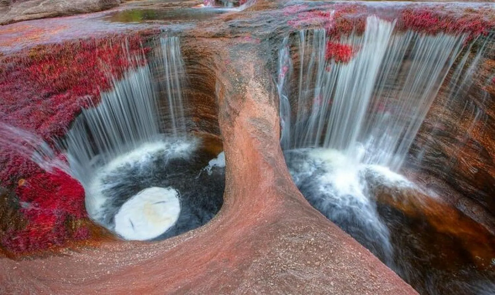 Bilim insanlarından ilginç bilgiler, 1939'da keşfedilmişti, sonunda sırrı çözüldü