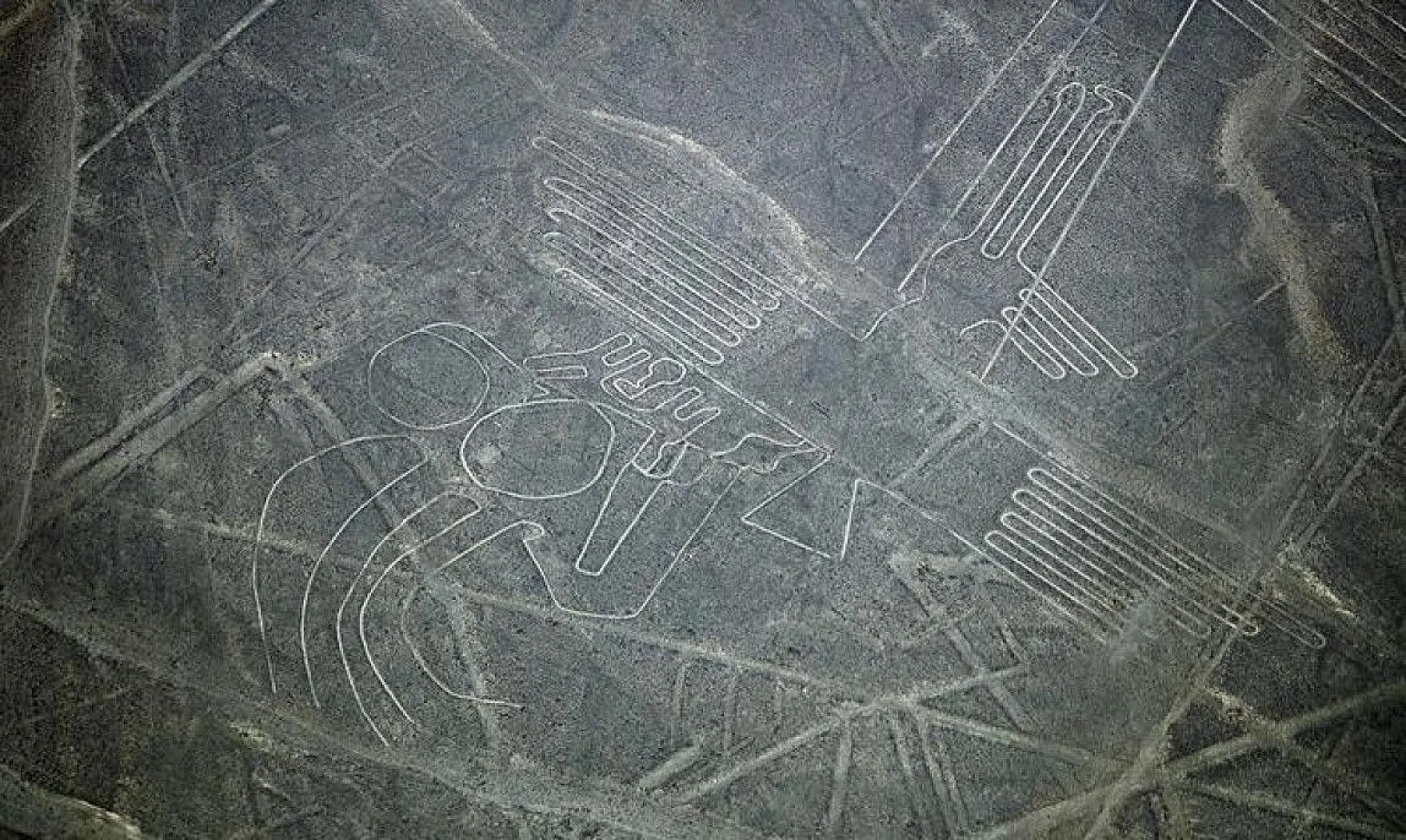 Bilim insanlarından ilginç bilgiler, 1939'da keşfedilmişti, sonunda sırrı çözüldü