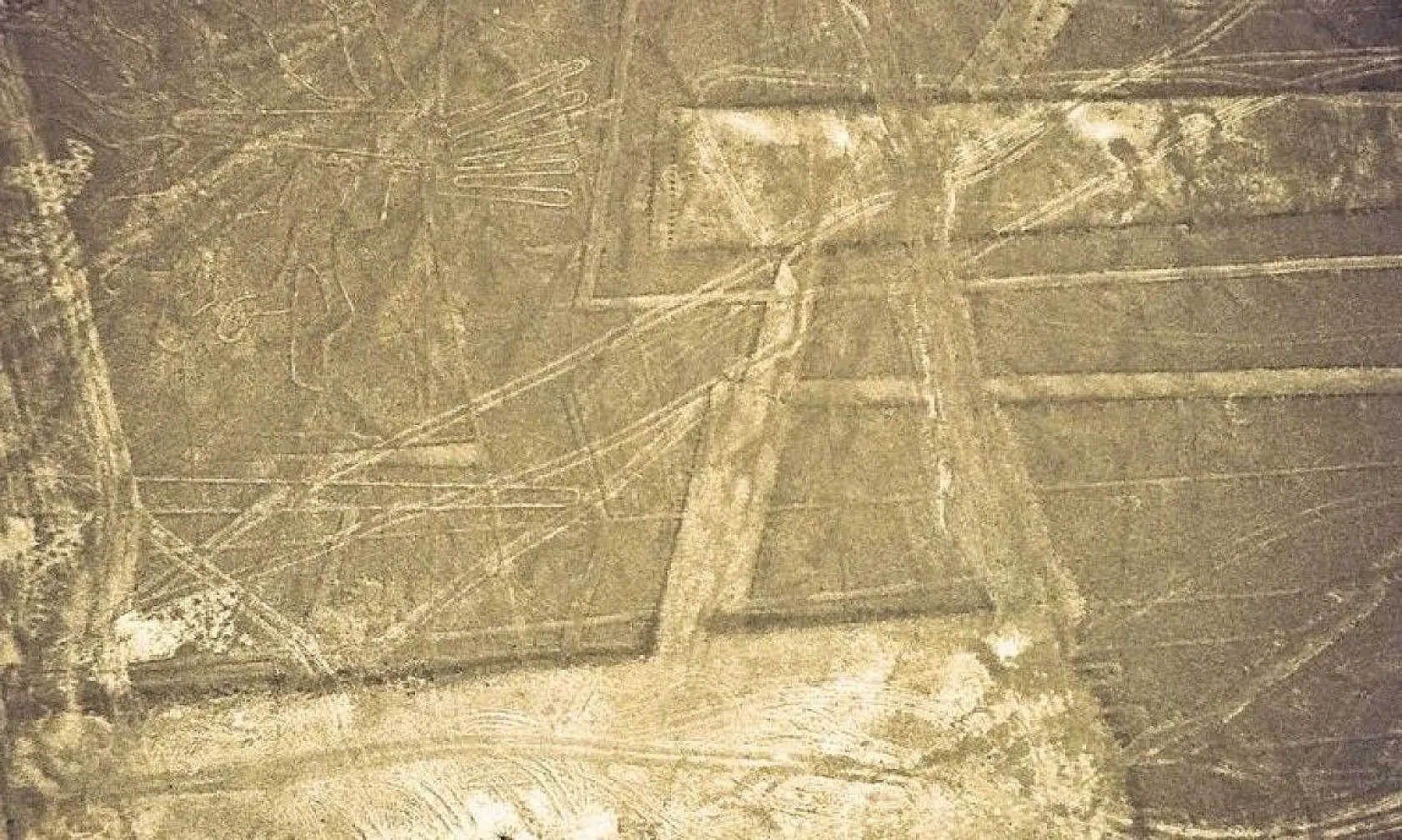 Bilim insanlarından ilginç bilgiler, 1939'da keşfedilmişti, sonunda sırrı çözüldü