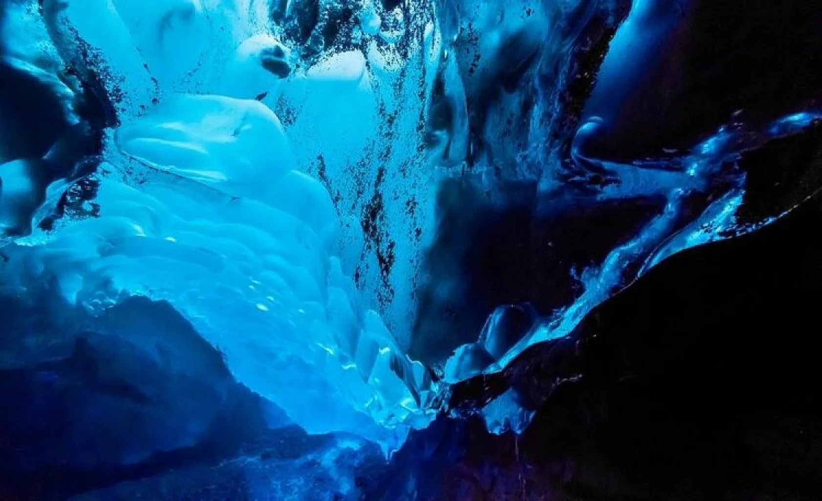 Bilim insanlarından ilginç bilgiler, 1939'da keşfedilmişti, sonunda sırrı çözüldü