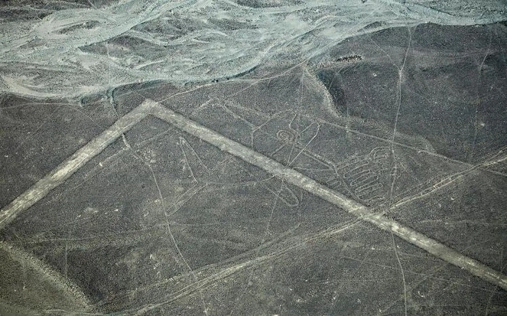 Bilim insanlarından ilginç bilgiler, 1939'da keşfedilmişti, sonunda sırrı çözüldü