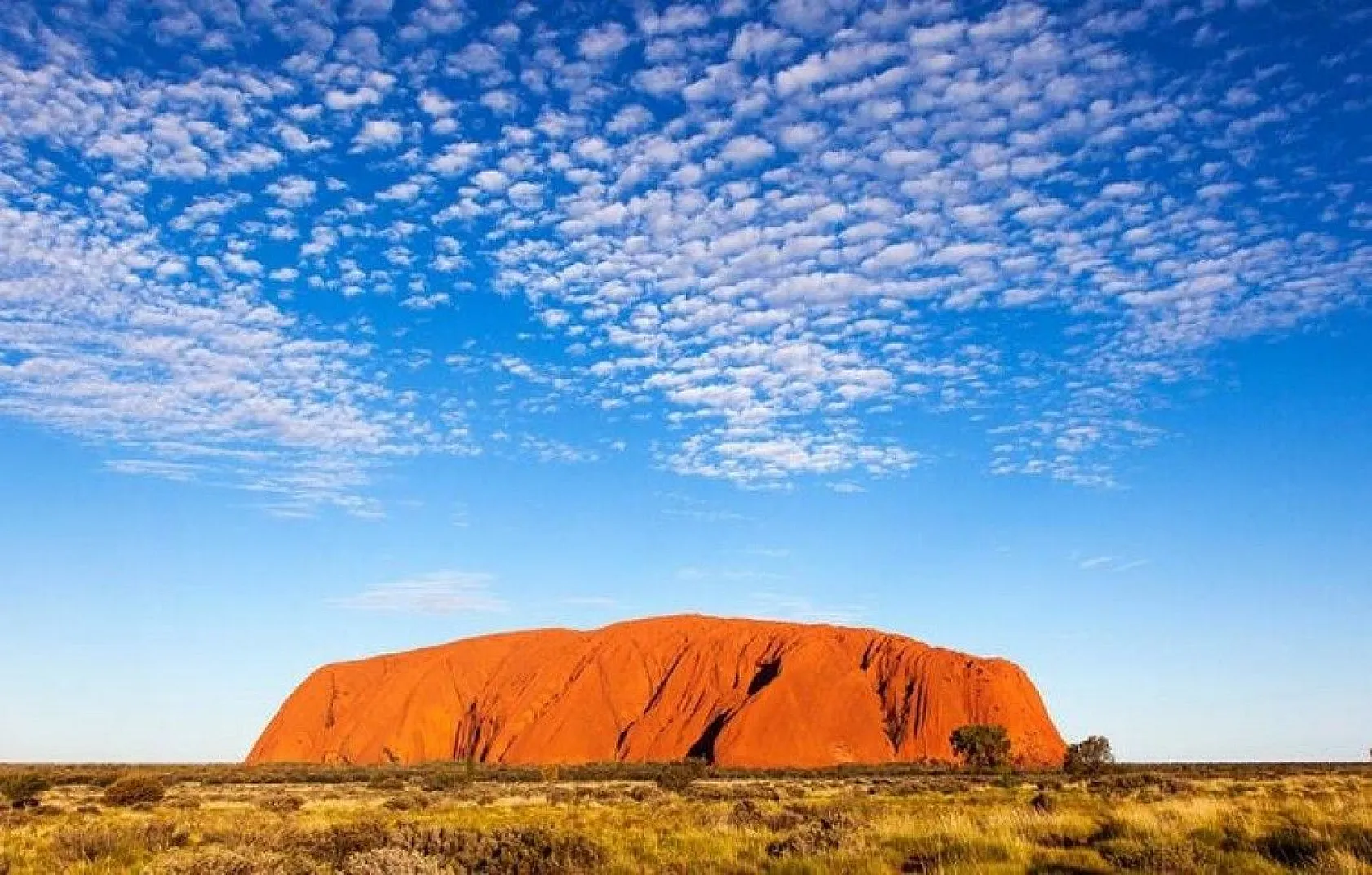 Bilim insanlarından ilginç bilgiler, 1939'da keşfedilmişti, sonunda sırrı çözüldü