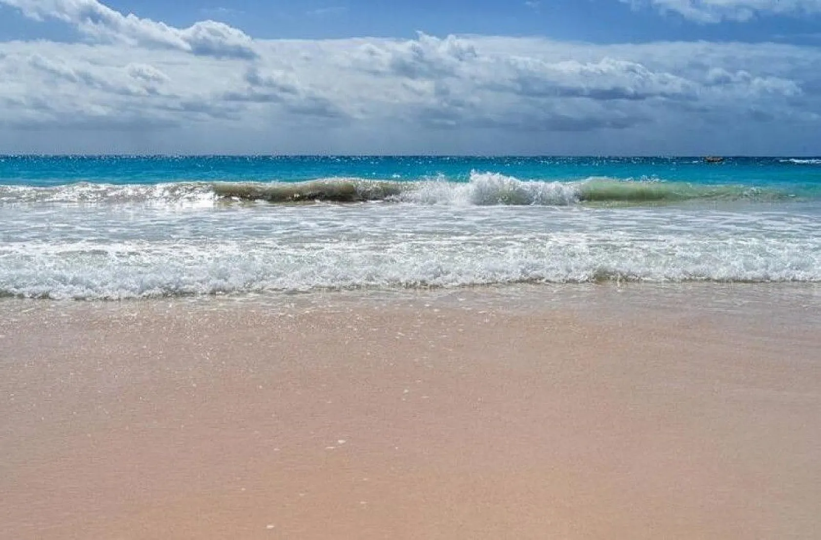 Bilim insanlarından ilginç bilgiler, 1939'da keşfedilmişti, sonunda sırrı çözüldü