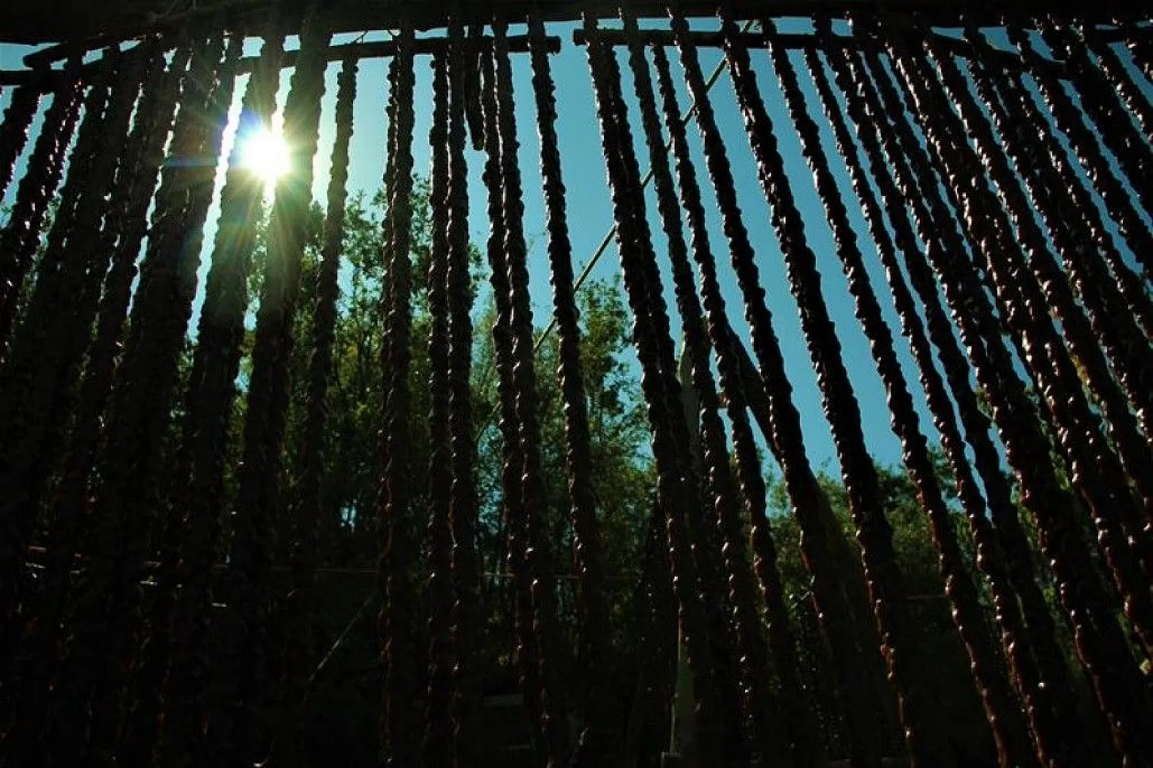 Elazığ'ın tescilli lezzeti 'orcik' için mesai başladı