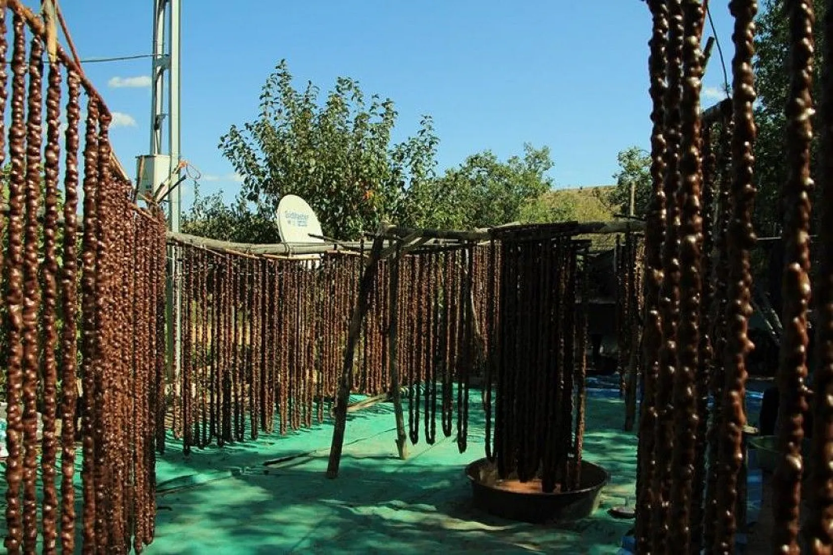 Elazığ'ın tescilli lezzeti 'orcik' için mesai başladı