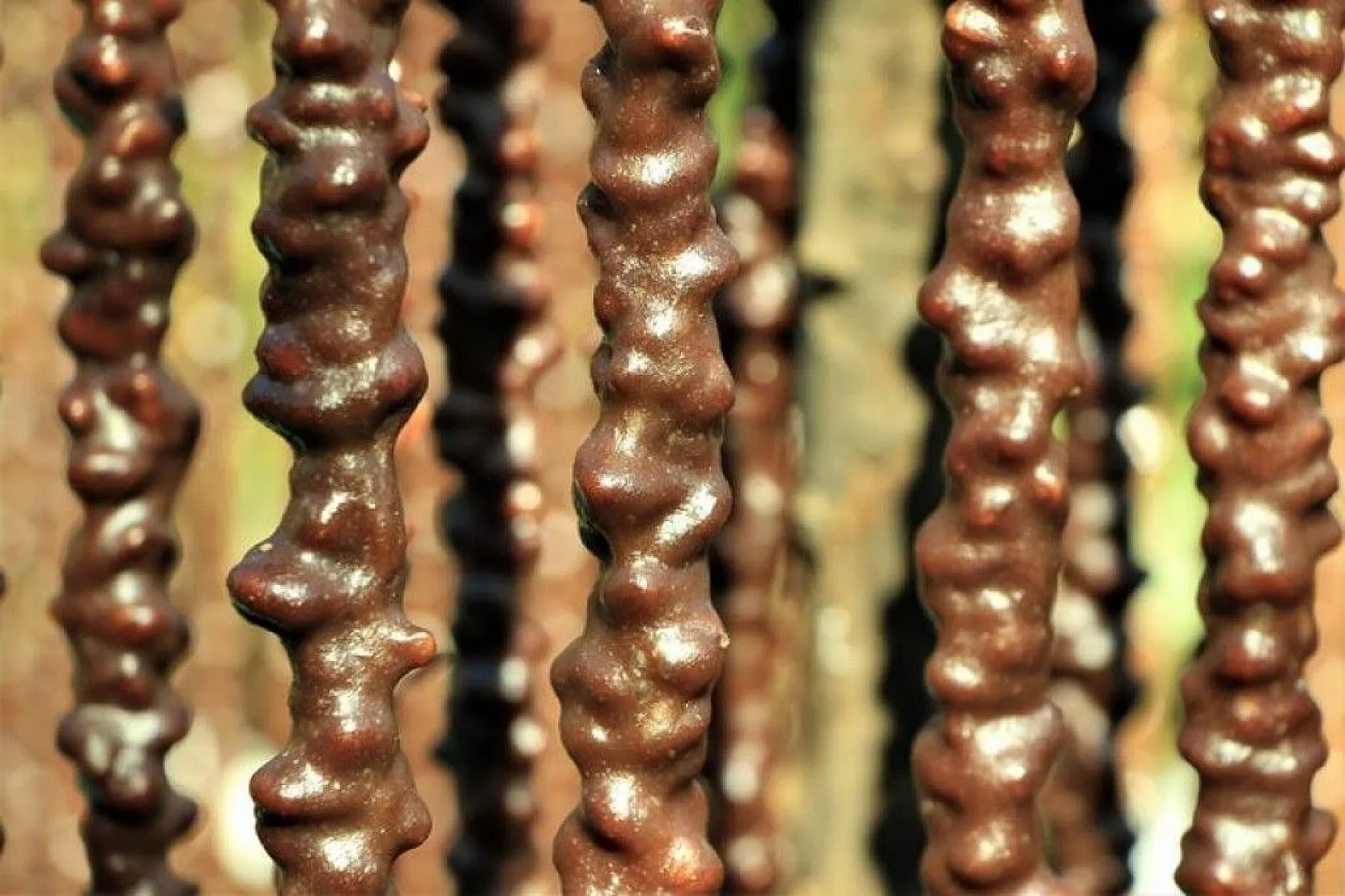 Elazığ'ın tescilli lezzeti 'orcik' için mesai başladı